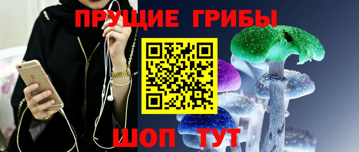 Галлюциногенные грибы Psilocybe Трёхгорный